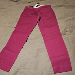 Banana Republic Modern Sloan Skinny-Fit Pant